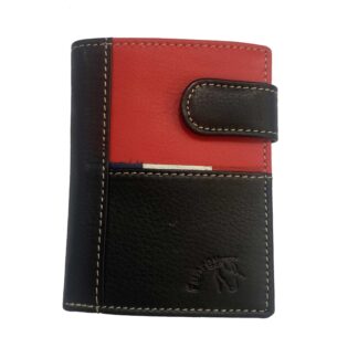 CARTERA NEGRA Y ROJA